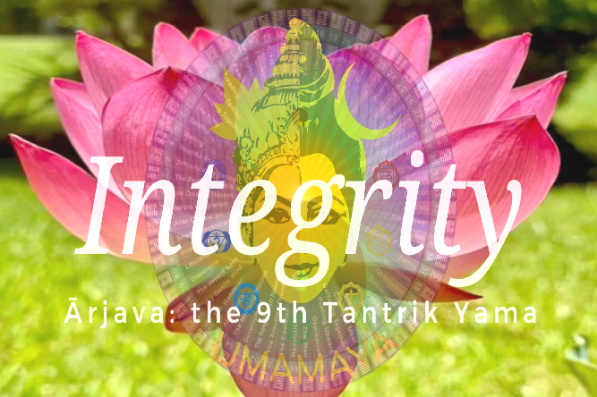 Yama # 9 Ārjava (Integrity & the Dao)